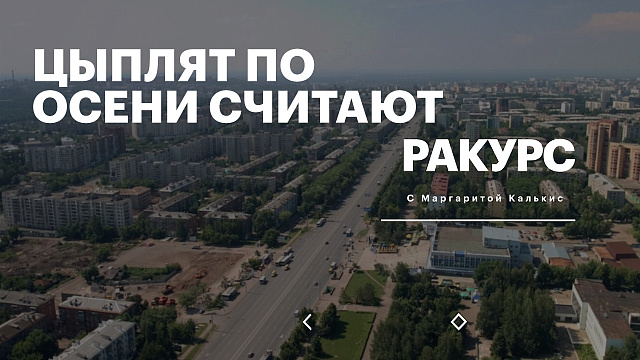 РБК. Ракурс. Цыплят по осени считают