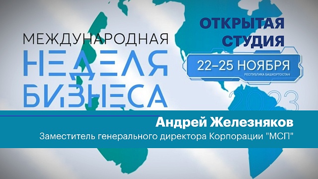 Интервью. Андрей Железняков, заместитель генерального директора Корпорации "МСП"