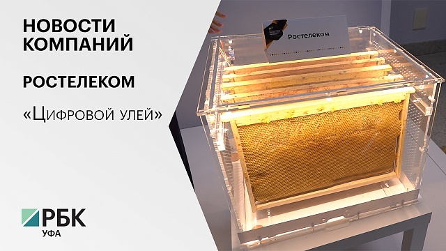 Новости Компаний. Ростелеком. «Цифровой улей»