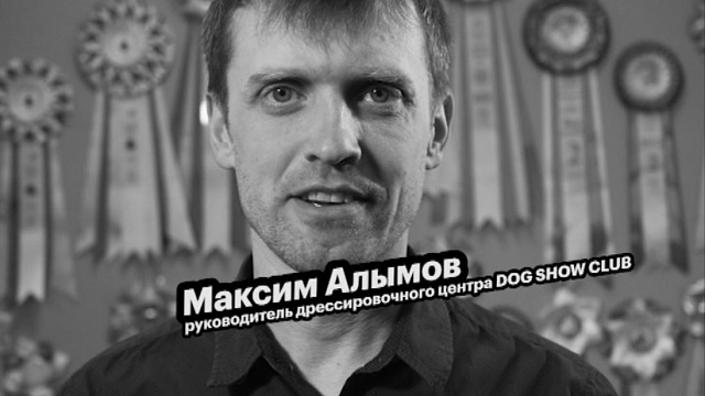 Большие люди малого бизнеса. Максим Алымов. Дрессировочный центр "DOG SHOW CLUB"