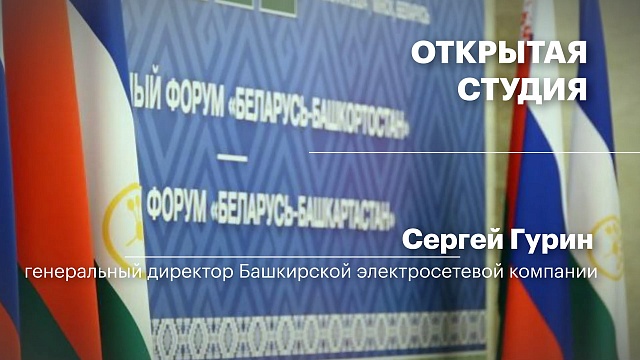 Интервью. Сергей Гурин - генеральный директор Башкирской электросетевой компании