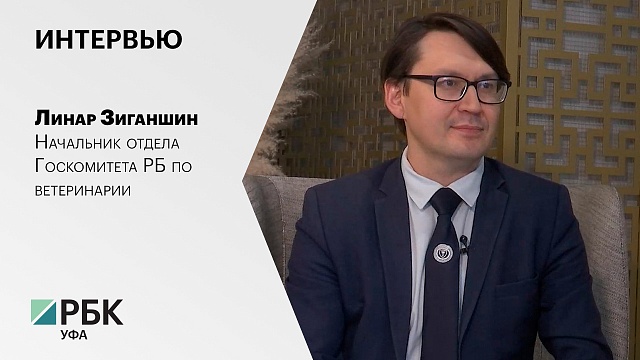 Интервью с Линаром Зиганшиным, начальником отдела Госкомитета РБ по ветеринарии